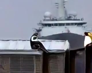 Falklands Fog music video poster — British ship in South Atlantic fog