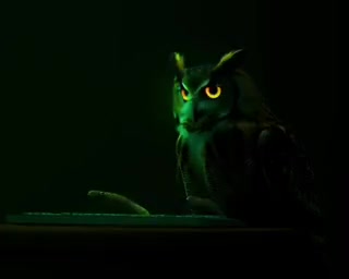 Hello World (Goodbye Sanity) music video poster — owl at a glowing terminal