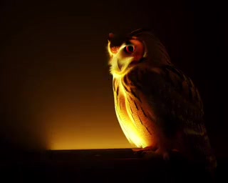 Stack Overflow Prayer music video poster